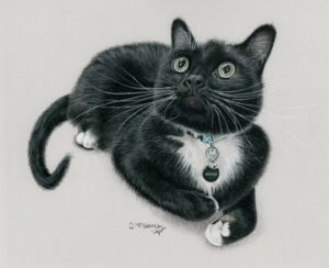 Memorial colored pencil portrait of Samus, a beloved cat, capturing her playful spirit and vibrant personality, bringing her joyfully back to life for her family.
