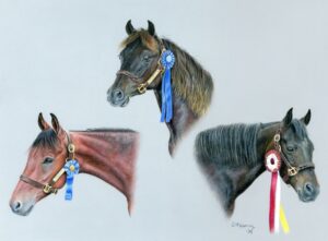 A dynamic colored pencil portrait of three magnificent Morgan horses – Aries, Merlyn, and Remy. Merlyn and Remy, rare Lipitt Morgans, and Aries, with his own regal presence, are captured with pride, showcasing their strength, elegance, and unique spirit.