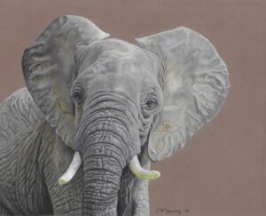 Realistic colored pencil drawing of an African elephant, showcasing intricate details and lifelike textures.