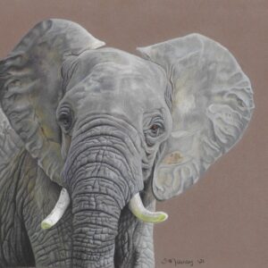 Limited edition giclee print of an elephant.